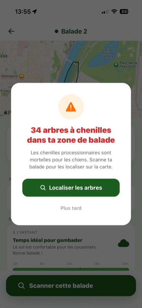 L'app Gambade alertant de 34 arbres à chenilles processionnaires sur une zone de balade